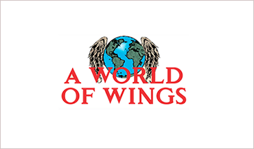 A World of Wings